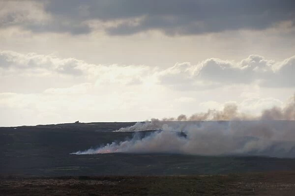 Smoke drifting across moorland from annual heather burning on dales moorland, Yorkshire, England, March