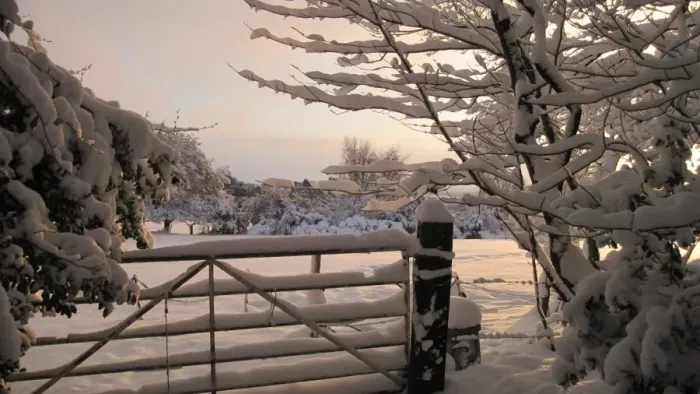 Framed Print : Snow covered gate and trees, Riverhead, Nottinghamshire, England, December Framed Print : Snow covered gate and trees, Riverhead, Nottinghamshire, England, December