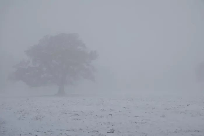 Framed Print : Snow covered ground and tree in fog, Moreton, Dorset, England, december Framed Print : Snow covered ground and tree in fog, Moreton, Dorset, England, december