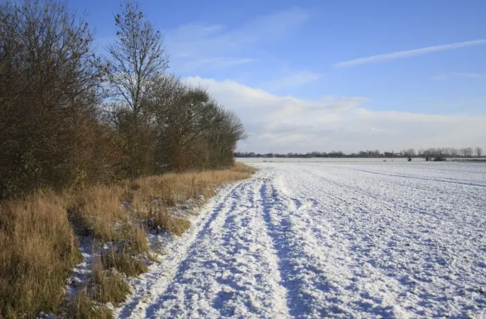 Framed Print : Snow covered headland set-a-side strip between hedgerow and arable field, Bacton, Suffolk, England, november Framed Print : Snow covered headland set-a-side strip between hedgerow and arable field, Bacton, Suffolk, England, november