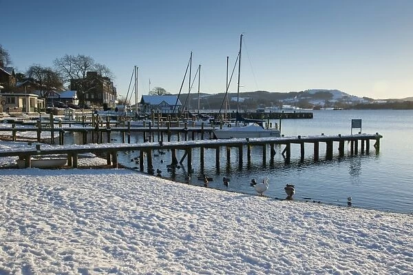 Snow covered lakeside and jetty, Lake Windermere, from Ambleside, Lake District N. P. Cumbria, England, december