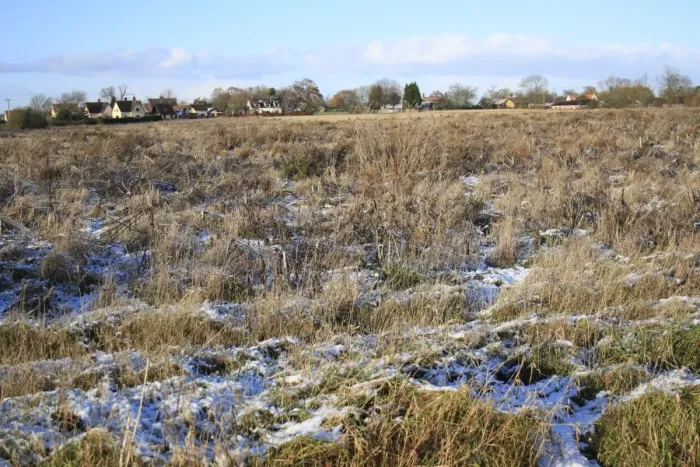 Framed Print : Snow covered set-a-side field, Bacton, Suffolk, England, november Framed Print : Snow covered set-a-side field, Bacton, Suffolk, England, november