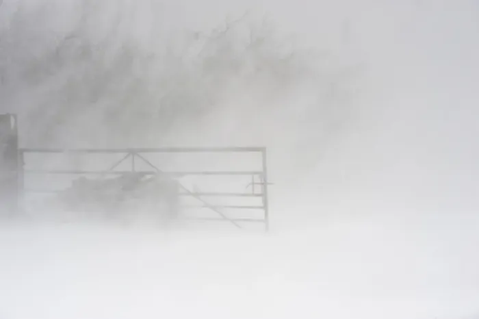 Framed Print : Snow drifting in farm gateway during snowstorm, Cumbria, England, March