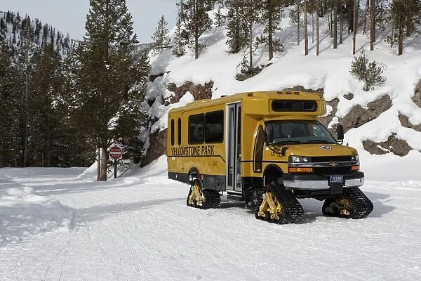 Snow vehicle used to access closed roads, Yellowstone N. P. Wyoming, U. S. A. february