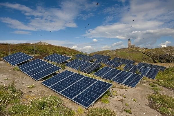 Solar panels gererating electricity to power lighthouse, with Atlantic Puffin (Fratercula arctica) flock in flight