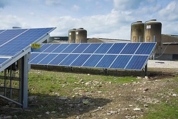 Solar panels used to generate electricity for pig farm, Driffield, East Yorkshire, England, June