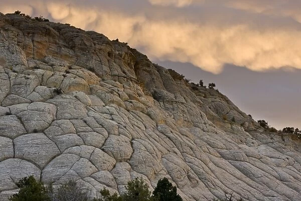 Spectacular cross-bedded Navajo sandstone rock (fossilised sand dunes) at sunset, near Boulder