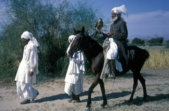 Framed Print : Sports & Pastimes Falconry / Pakistan Falconer holding Goshawk riding a horse / with trainers Framed Print : Sports & Pastimes Falconry / Pakistan Falconer holding Goshawk riding a horse / with trainers
