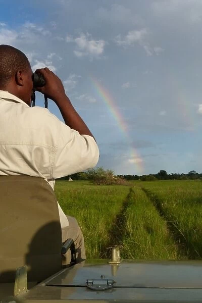 Spotter sitting at front of safari vehicle, in wetland habitat with rainbow, Okavango Delta, Botswana
