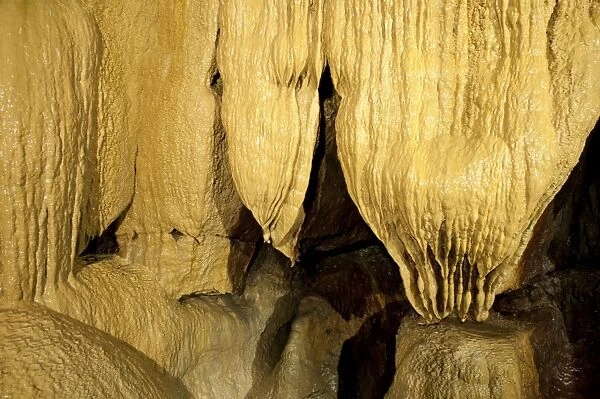 Stalactite and stalagmite limestone rock formations in cave, Ingleborough Cave, Yorkshire Dales N. P