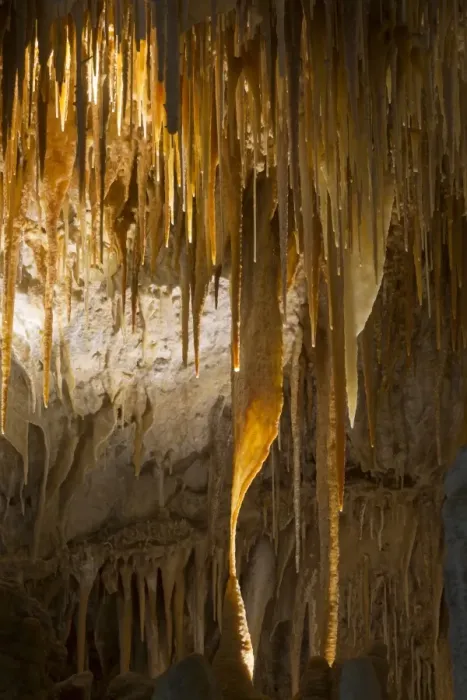 Framed Print : Stalactites in limestone cave, Kelly Hill Caves, Kangaroo Island, South Australia, Australia, February Framed Print : Stalactites in limestone cave, Kelly Hill Caves, Kangaroo Island, South Australia, Australia, February