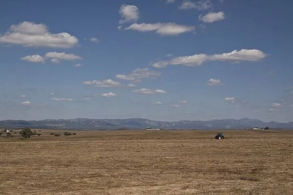 The Steppes of Belen in Extremadura, a great place for bird watching and home of the great Bustard. Tractor hay making