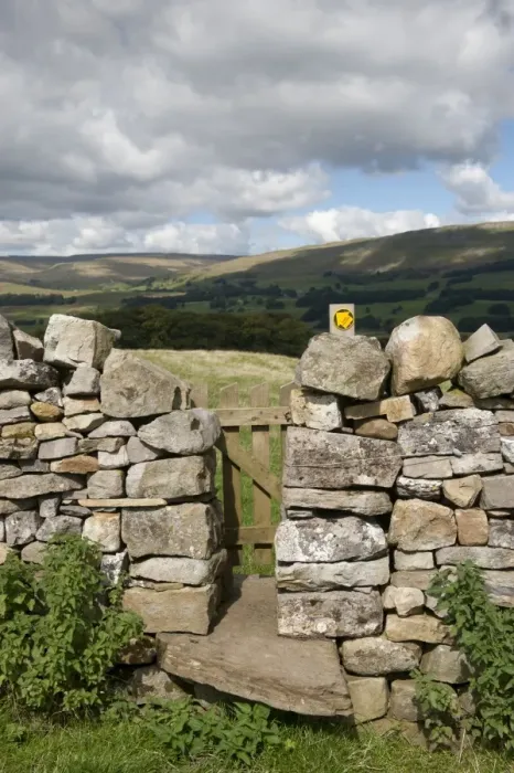 Framed Print : Stile and gate in drystone wall on public footpath, near Burtersett, Hawes, Wensleydale, Yorkshire Dales N. P Framed Print : Stile and gate in drystone wall on public footpath, near Burtersett, Hawes, Wensleydale, Yorkshire Dales N. P