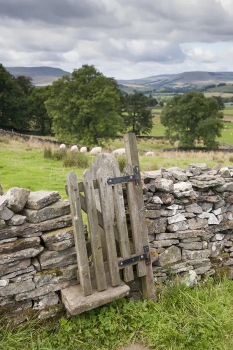 Framed Print : Stile and gate in drystone wall on public footpath, near Burtersett, Hawes, Wensleydale, Yorkshire Dales N. P Framed Print : Stile and gate in drystone wall on public footpath, near Burtersett, Hawes, Wensleydale, Yorkshire Dales N. P