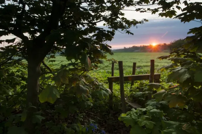 Framed Print : Stile leading from woodland to arable farmland at sunrise, Kent, England, April Framed Print : Stile leading from woodland to arable farmland at sunrise, Kent, England, April