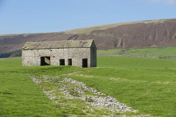 Stone barn in pasture with distant fell, near Slaidburn, Lancashire, England, october