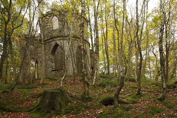 Stone-built folly in woodland habitat, The Burn, Glen Esk, near Edzell, Angus, Scotland, october