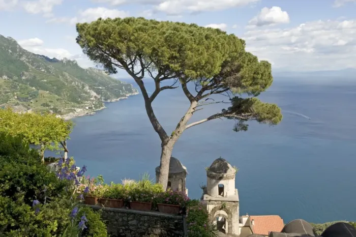 Framed Print : Stone Pine (Pinus pinea) habit, View of the Amalfi Coast and chapel from the gardens of the Villa Rufolo, Ravello Framed Print : Stone Pine (Pinus pinea) habit, View of the Amalfi Coast and chapel from the gardens of the Villa Rufolo, Ravello