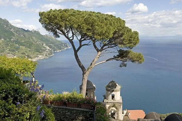 Stone Pine (Pinus pinea) habit, View of the Amalfi Coast and chapel from the gardens of the Villa Rufolo, Ravello