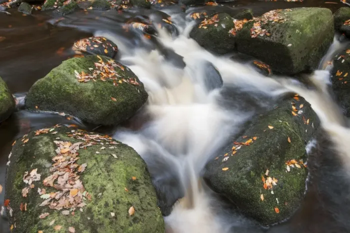 Framed Print : Stream cascades flowing around rocks with fallen autumn leaves in woodland, Burbage Brook, Padley Gorge, Dark Peak Framed Print : Stream cascades flowing around rocks with fallen autumn leaves in woodland, Burbage Brook, Padley Gorge, Dark Peak