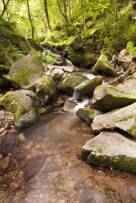 Framed Print : Stream cascading over rocks in woodland, East Water, Horner Wood National Nature Reserve, below Dunkery Beacon Framed Print : Stream cascading over rocks in woodland, East Water, Horner Wood National Nature Reserve, below Dunkery Beacon