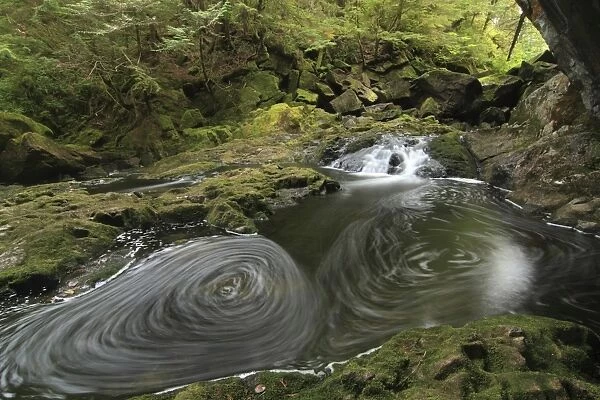 Stream with eddies in temperate coastal rainforest, Coast Mountains, Great Bear Rainforest, British Columbia, Canada
