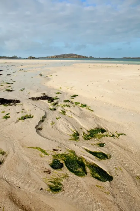 Framed Print : Stream flowing across beach at low tide, looking towards St. Helen s, Cradle Porth, Tresco, Isles of Scilly, England Framed Print : Stream flowing across beach at low tide, looking towards St. Helen s, Cradle Porth, Tresco, Isles of Scilly, England