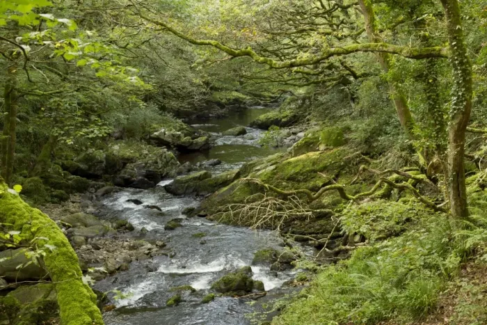 Framed Print : Stream flowing through deciduous woodland habitat, East Lyn River Valley, Exmoor N. P. Devon, England, October Framed Print : Stream flowing through deciduous woodland habitat, East Lyn River Valley, Exmoor N. P. Devon, England, October