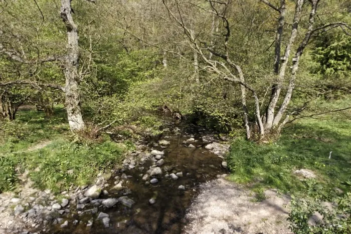 Framed Print : Stream in woodland habitat, Coombes Valley RSPB Reserve, Staffordshire, England, april