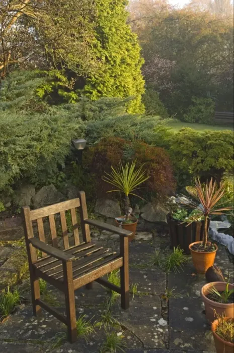 Framed Print : Suburban garden with chair, containers and conifers, Kent, England, autumn Framed Print : Suburban garden with chair, containers and conifers, Kent, England, autumn