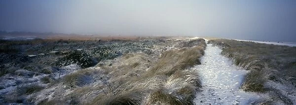 Suffolk Winter landscape of sea dunes - Suffolk Coast near Minsmere