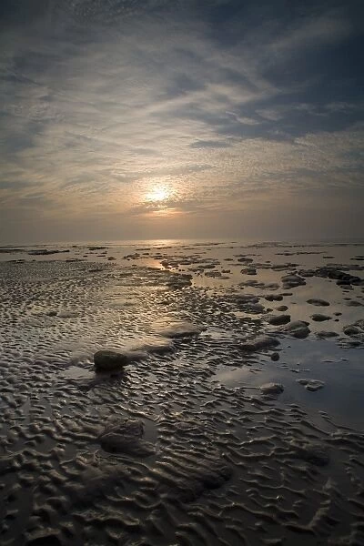 Sunrise over beach at low tide, The Naze, Essex, England, june