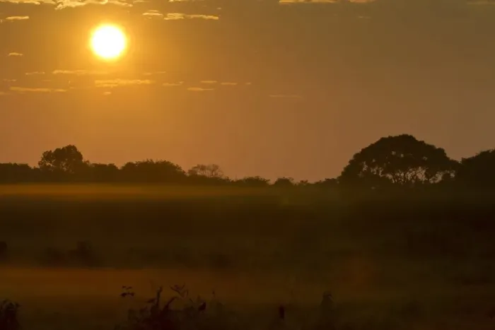 Framed Print : Sunrise over misty landscape, Pantanal, Mato Grosso, Brazil