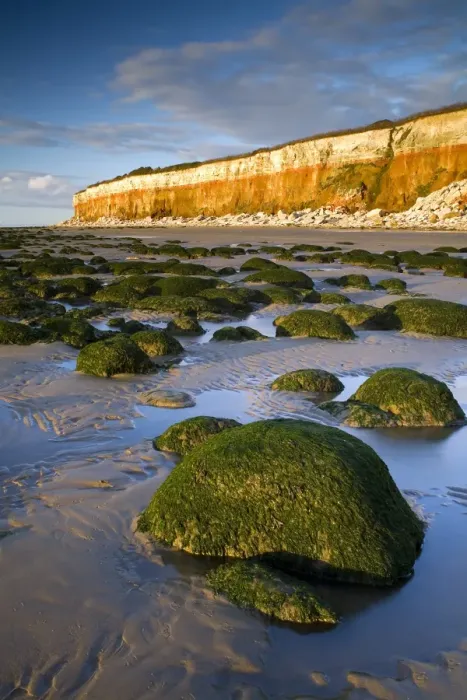 Framed Print : Sunset over algae covered eroded boulders on beach at low tide, with chalk and carrstone sea cliffs in background Framed Print : Sunset over algae covered eroded boulders on beach at low tide, with chalk and carrstone sea cliffs in background