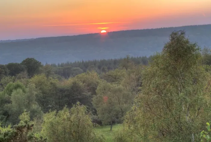 Framed Print : Sunset over mixed deciduous and coniferous woodland habitat, from New Fancy viewpoint, Forest of Dean, Gloucestershire Framed Print : Sunset over mixed deciduous and coniferous woodland habitat, from New Fancy viewpoint, Forest of Dean, Gloucestershire