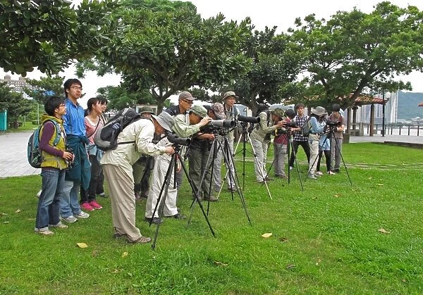 Taiwanese birdwatchers scanning estuary with telescopes, members of The Wild Bird Society of Taipei on group outing