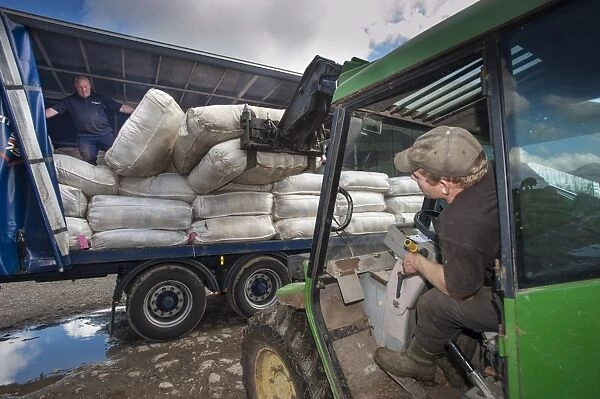 Telehandler loading Britsh Wool lorry with wool bales, Jervaulx, Masham, Ripon, North Yorkshire, England, August