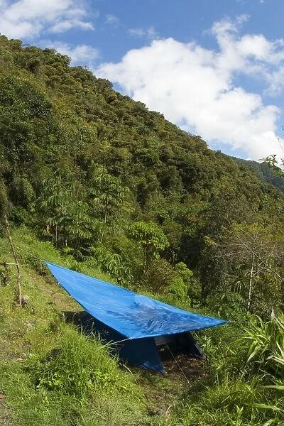Tent with shade, biologists camping in montane rainforest habitat, Andes, Peru