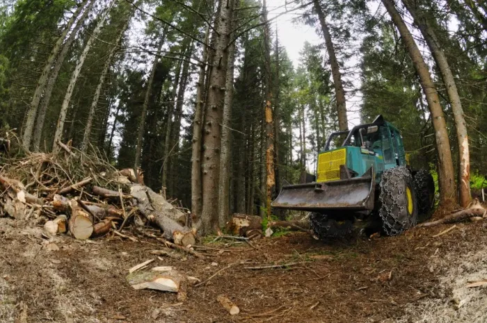 Framed Print : Timberjack 360c skidder, during logging in coniferous forest, Italian Alps, Italy, may Framed Print : Timberjack 360c skidder, during logging in coniferous forest, Italian Alps, Italy, may