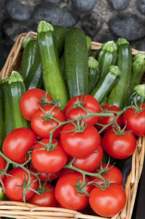 Framed Print : Tomato (Solanum sp. ) and Courgette (Cucurbita sp. ) harvested fruit in wicker basket, Norfolk, England, august Framed Print : Tomato (Solanum sp. ) and Courgette (Cucurbita sp. ) harvested fruit in wicker basket, Norfolk, England, august