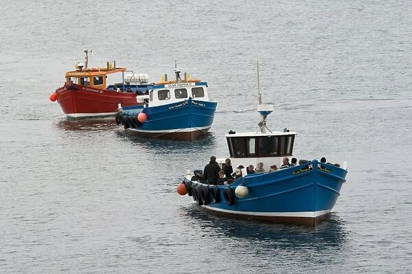 Three tour boats, queueing up to take birdwatchers out to islands, Farne Islands, Northumberland, England, may