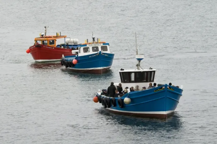 Framed Print : Three tour boats, queueing up to take birdwatchers out to islands, Farne Islands, Northumberland, England, may
