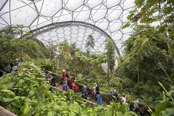 Tourists inside humid rainforest biome, Rainforest Biome, Eden Project, Cornwall, England, May