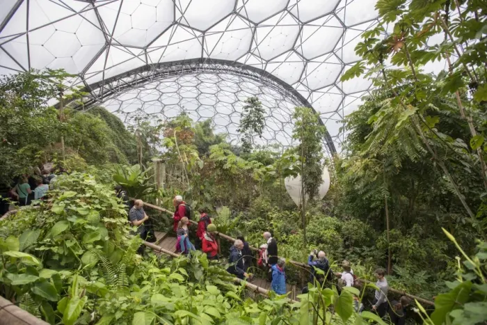 Framed Print : Tourists inside humid rainforest biome, Rainforest Biome, Eden Project, Cornwall, England, May Framed Print : Tourists inside humid rainforest biome, Rainforest Biome, Eden Project, Cornwall, England, May