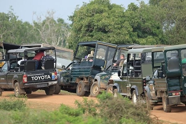 Tourists in safari vehicles on track, Yala N. P. Sri Lanka, February