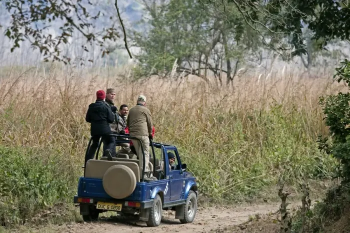 Framed Print : Tourists in tiger-watching jeep, Corbett N. P. Uttarakhand, India, january Framed Print : Tourists in tiger-watching jeep, Corbett N. P. Uttarakhand, India, january