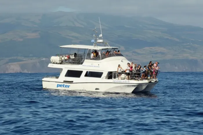 Framed Print : Tourists in whale and dolphin watching boat at sea, Azores, august Framed Print : Tourists in whale and dolphin watching boat at sea, Azores, august