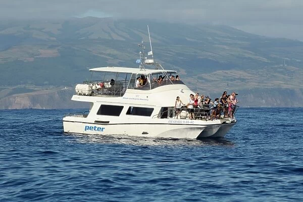 Tourists in whale and dolphin watching boat at sea, Azores, august
