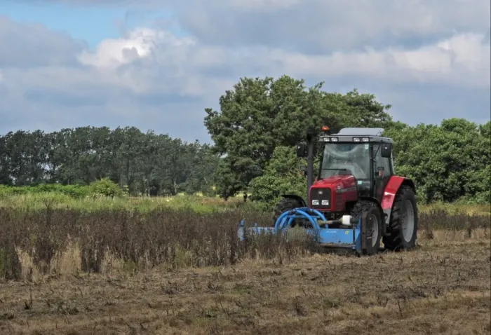 Framed Print : Tractor mowing sprayed thistles after spraying with Roundup herbicide on Higher Level Stewardship land, Norfolk Framed Print : Tractor mowing sprayed thistles after spraying with Roundup herbicide on Higher Level Stewardship land, Norfolk