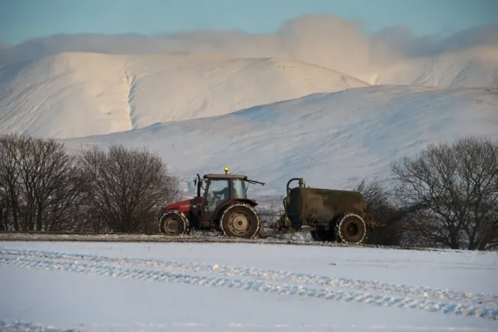 Framed Print : Tractor with muckspreader, spreading slurry on snow covered field in evening sunlight, Howgill Fells, Cumbria, England Framed Print : Tractor with muckspreader, spreading slurry on snow covered field in evening sunlight, Howgill Fells, Cumbria, England